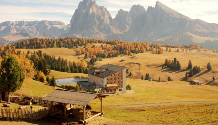 سری سی و نهم بک گراند های طبیعت   Nature Wallpapers