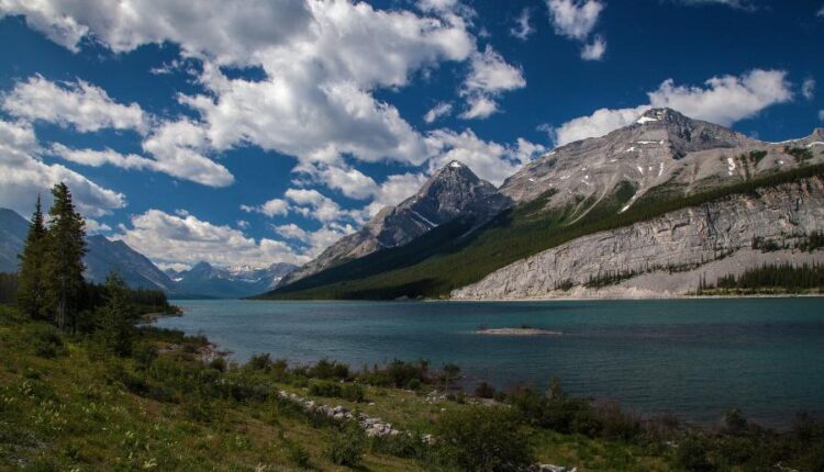 سری سی و نهم بک گراند های طبیعت   Nature Wallpapers