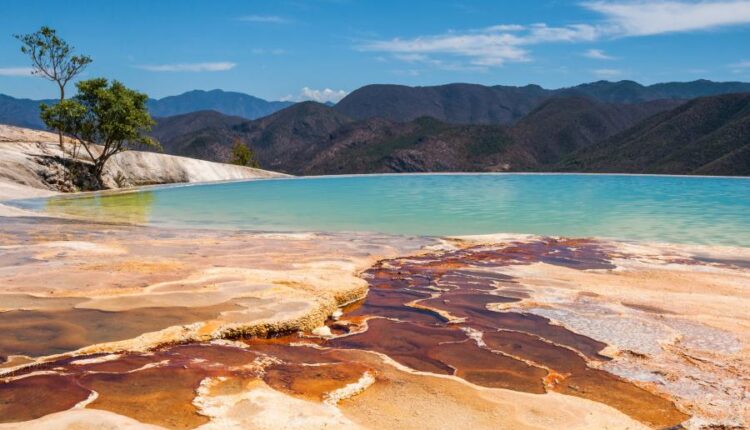 سری سی و نهم بک گراند های طبیعت   Nature Wallpapers