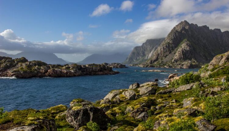 سری سی و نهم بک گراند های طبیعت   Nature Wallpapers