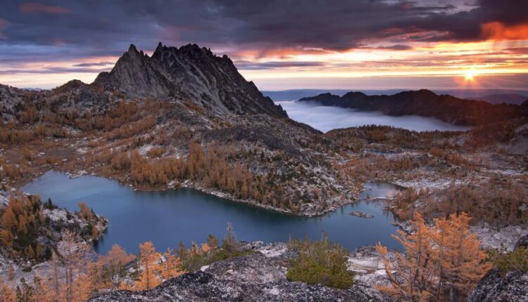 سری چهل و دوم عکس های زمینه طبیعت   Nature Wallpapers