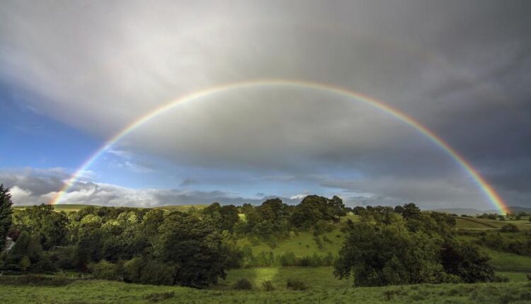 سری چهل و دوم عکس های زمینه طبیعت   Nature Wallpapers