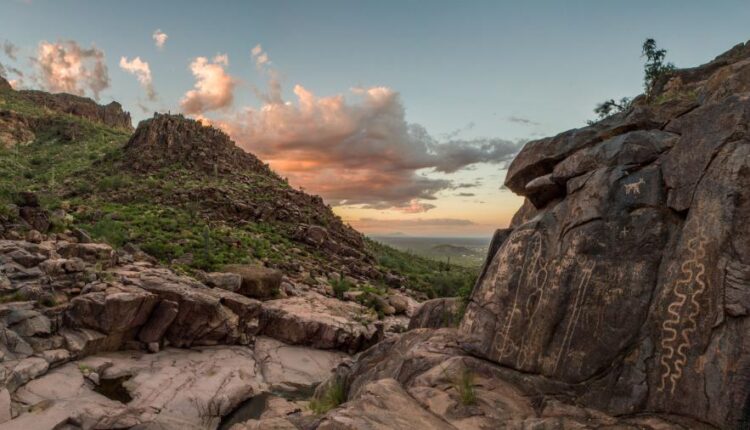 سری چهل و دوم عکس های زمینه طبیعت   Nature Wallpapers