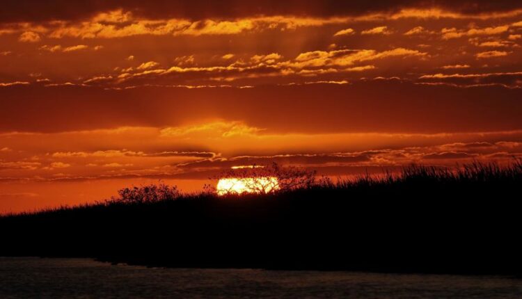 سری چهل و دوم عکس های زمینه طبیعت   Nature Wallpapers