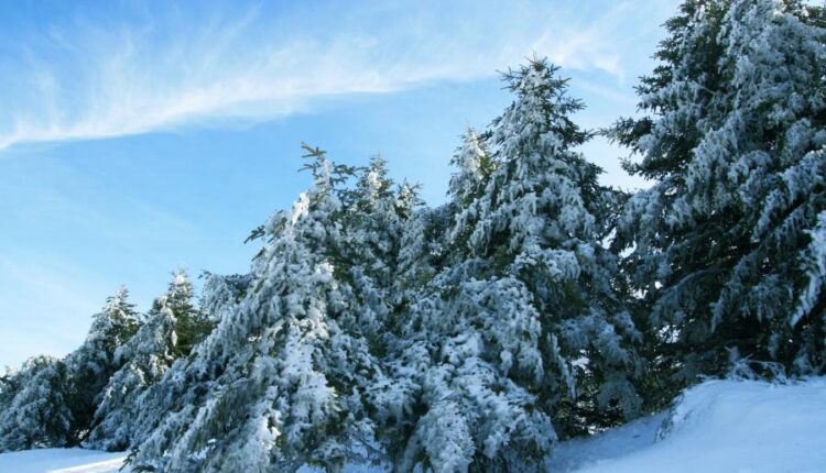 سری چهل و دوم عکس های زمینه طبیعت   Nature Wallpapers