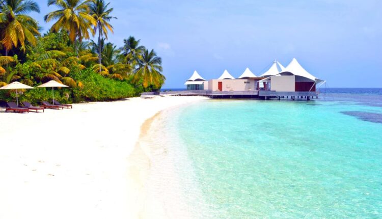 سری چهل و دوم عکس های زمینه طبیعت   Nature Wallpapers