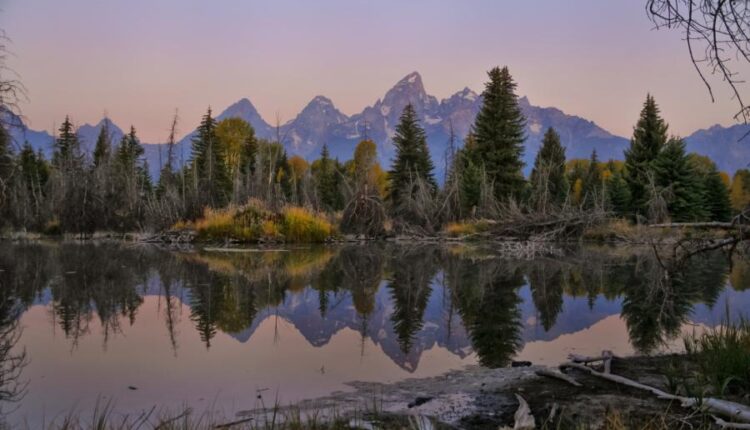 سری چهل و دوم عکس های زمینه طبیعت   Nature Wallpapers