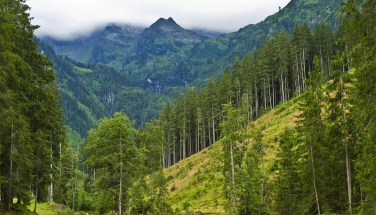 سری چهل و دوم عکس های زمینه طبیعت   Nature Wallpapers