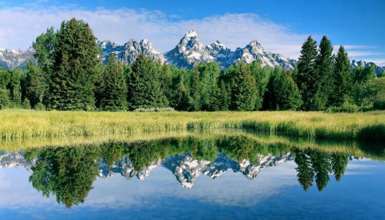 سری چهل و دوم عکس های زمینه طبیعت   Nature Wallpapers