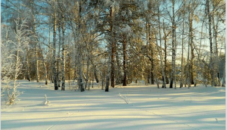 سری چهل و دوم عکس های زمینه طبیعت   Nature Wallpapers