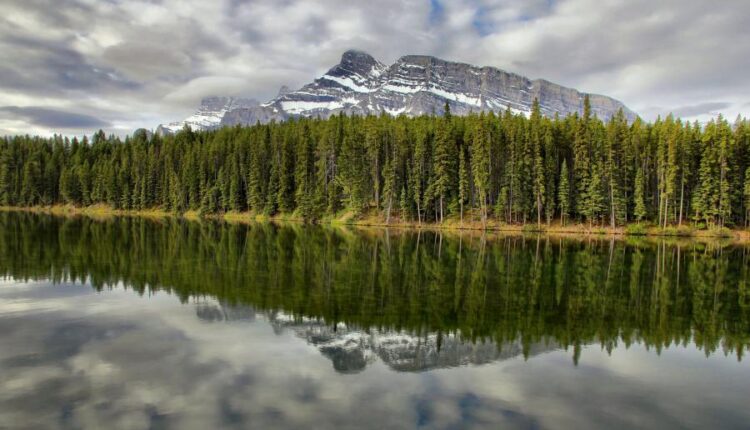 سری چهل و دوم عکس های زمینه طبیعت   Nature Wallpapers