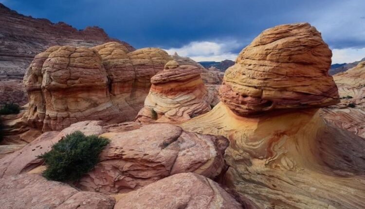 سری چهل و دوم عکس های زمینه طبیعت   Nature Wallpapers