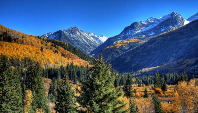 سری چهل و دوم عکس های زمینه طبیعت   Nature Wallpapers