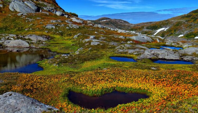 سری چهل و دوم عکس های زمینه طبیعت   Nature Wallpapers