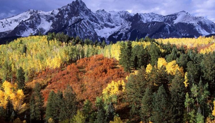 سری چهل و دوم عکس های زمینه طبیعت   Nature Wallpapers