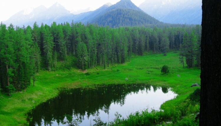 سری چهل و دوم عکس های زمینه طبیعت   Nature Wallpapers