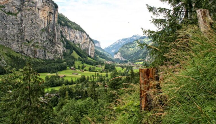 سری چهل و دوم عکس های زمینه طبیعت   Nature Wallpapers