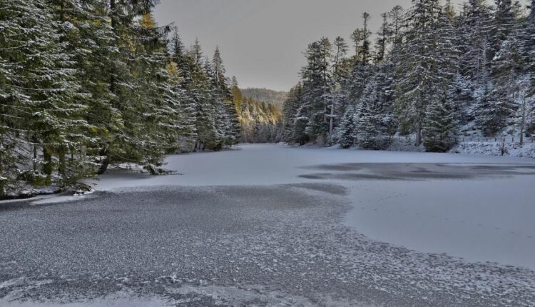 سری چهل و دوم عکس های زمینه طبیعت   Nature Wallpapers