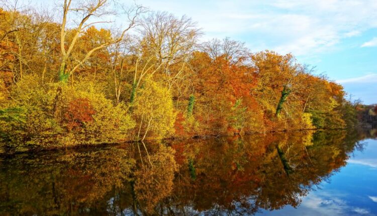 سری چهل و دوم عکس های زمینه طبیعت   Nature Wallpapers