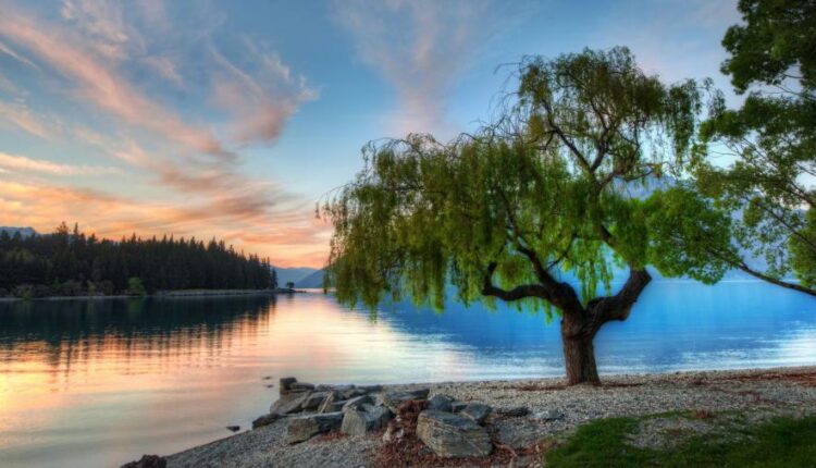 سری پنجاه و ششم عکس زمینه های با کیفیت طبیعت   Nature