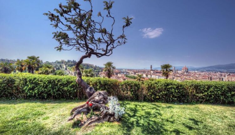 سری پنجاه و ششم عکس زمینه های با کیفیت طبیعت   Nature