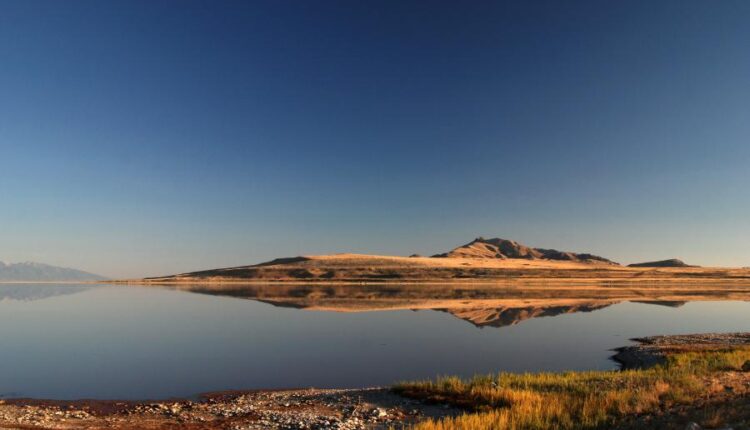 سری پنجاه و ششم عکس زمینه های با کیفیت طبیعت   Nature