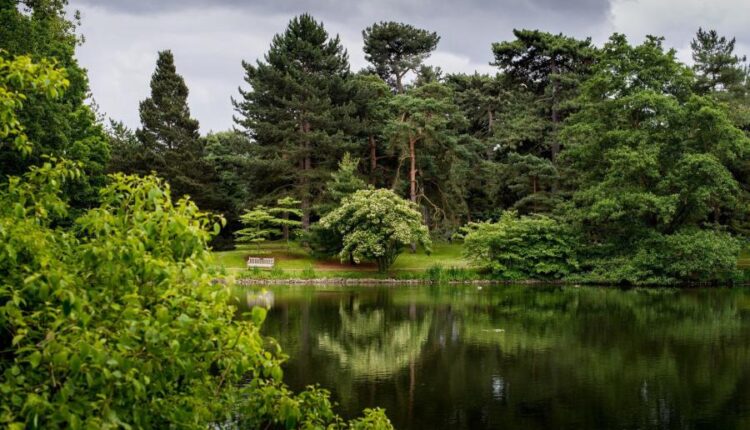 سری پنجاه و ششم عکس زمینه های با کیفیت طبیعت   Nature