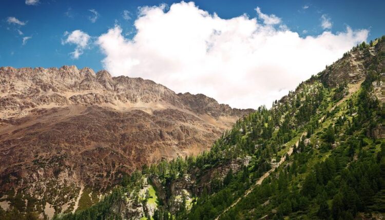 سری پنجاه و ششم عکس زمینه های با کیفیت طبیعت   Nature