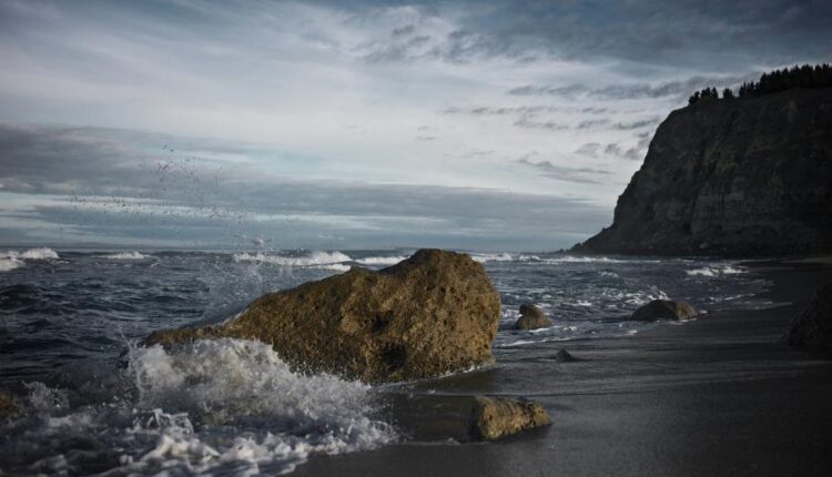 سری پنجاه و ششم عکس زمینه های با کیفیت طبیعت   Nature