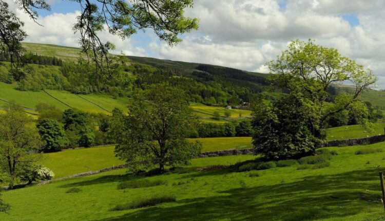 سری پنجاه و ششم عکس زمینه های با کیفیت طبیعت   Nature