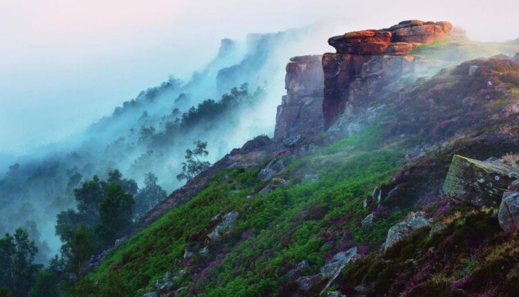 سری پنجاه و ششم عکس زمینه های با کیفیت طبیعت   Nature