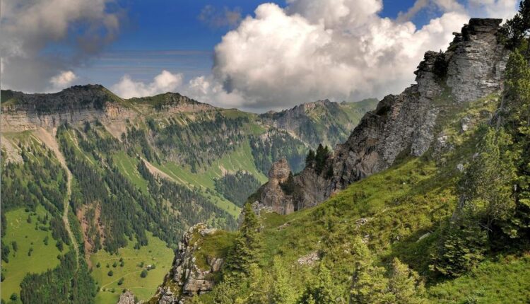 سری پنجاه و ششم عکس زمینه های با کیفیت طبیعت   Nature