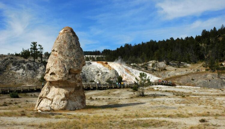 سری پنجاه و ششم عکس زمینه های با کیفیت طبیعت   Nature