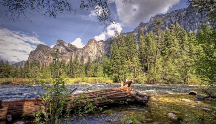 سری پنجاه و ششم عکس زمینه های با کیفیت طبیعت   Nature