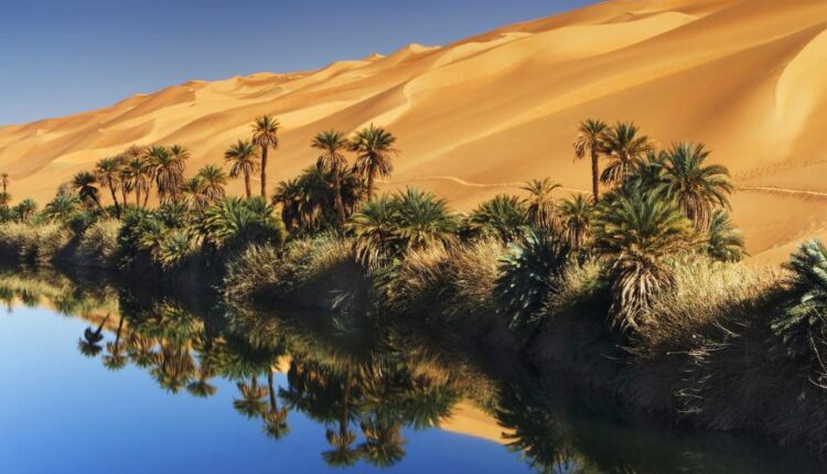 سری پنجاه و ششم عکس زمینه های با کیفیت طبیعت   Nature