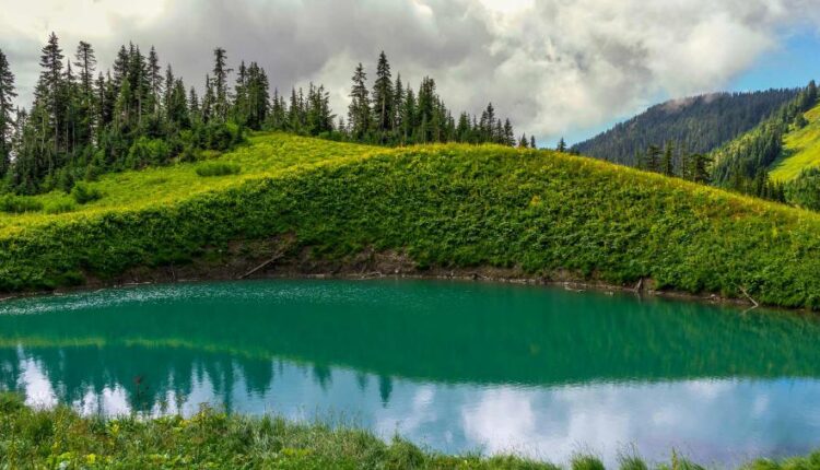 سری پنجاه و ششم عکس زمینه های با کیفیت طبیعت   Nature