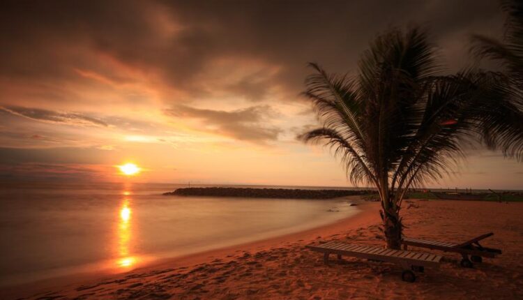 سری پنجاه و ششم عکس زمینه های با کیفیت طبیعت   Nature