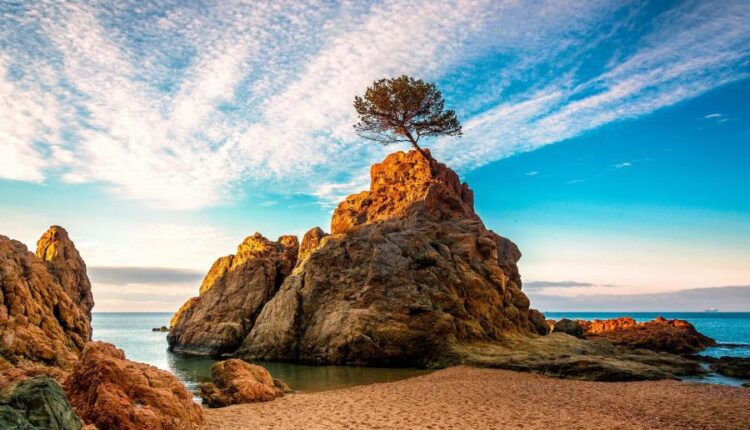 سری پنجاه و پنج تصویر زمینه های با کیفیت طبیعت   Nature