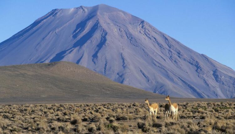 سری پنجاه و پنج تصویر زمینه های با کیفیت طبیعت   Nature