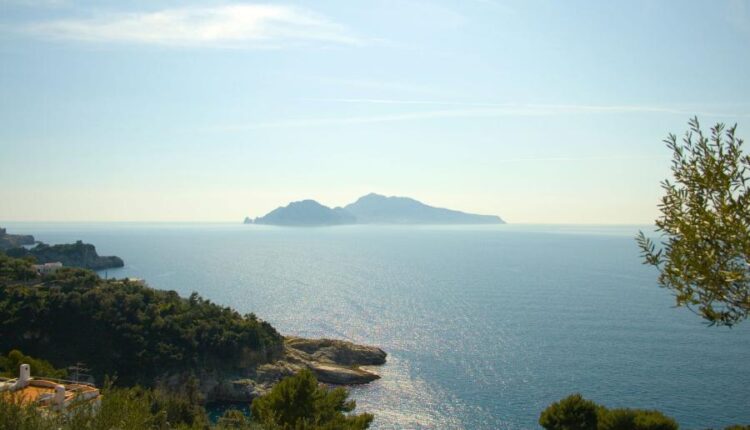 سری پنجاه و پنج تصویر زمینه های با کیفیت طبیعت   Nature