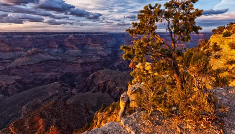 سری پنجاه و پنج تصویر زمینه های با کیفیت طبیعت   Nature