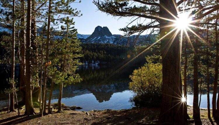 سری پنجاه و پنج تصویر زمینه های با کیفیت طبیعت   Nature