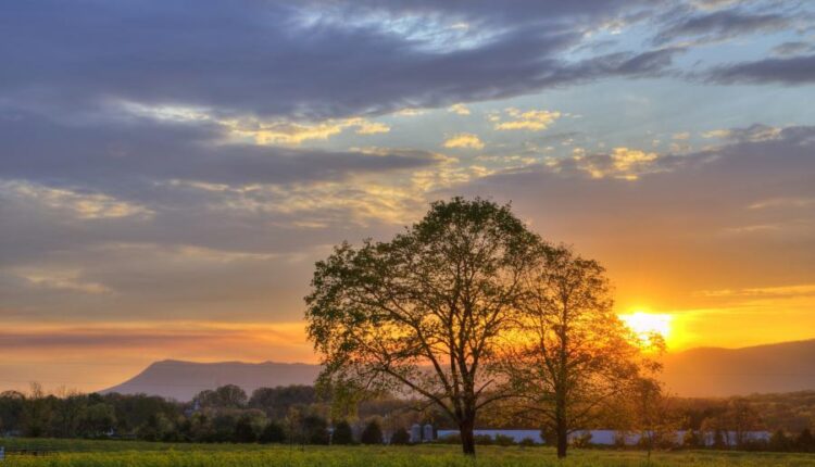 سری پنجاه و پنج تصویر زمینه های با کیفیت طبیعت   Nature