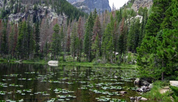 سری پنجاه و پنج تصویر زمینه های با کیفیت طبیعت   Nature