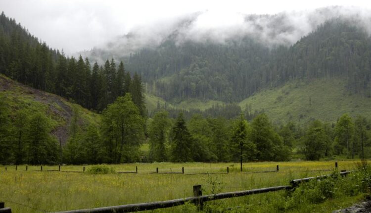 سری پنجاه و پنج تصویر زمینه های با کیفیت طبیعت   Nature