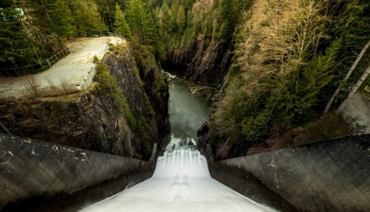 سری پنجاه و پنج تصویر زمینه های با کیفیت طبیعت   Nature