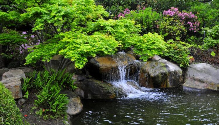 سری پنجاه و پنج تصویر زمینه های با کیفیت طبیعت   Nature