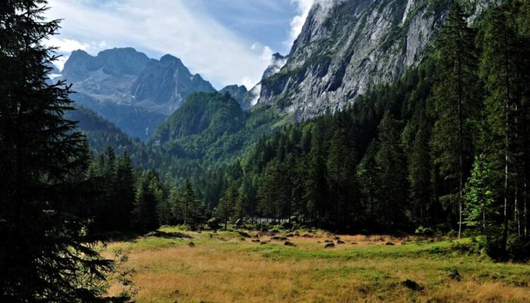 سری پنجاه و پنج تصویر زمینه های با کیفیت طبیعت   Nature