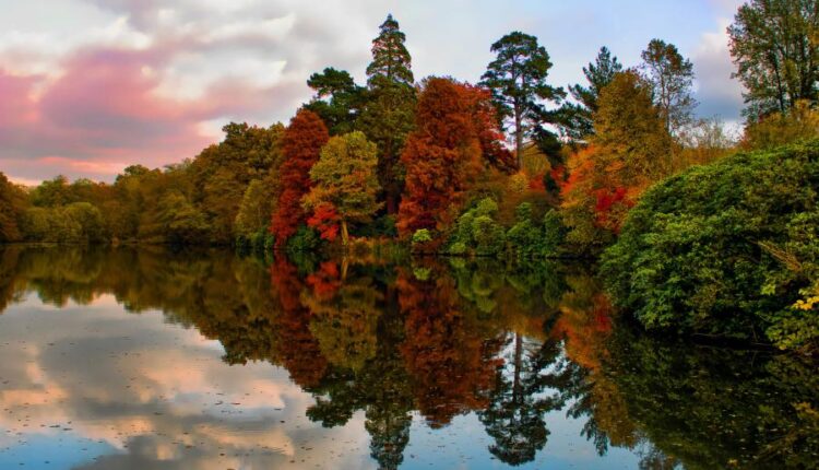 سری پنجاه و پنج تصویر زمینه های با کیفیت طبیعت   Nature