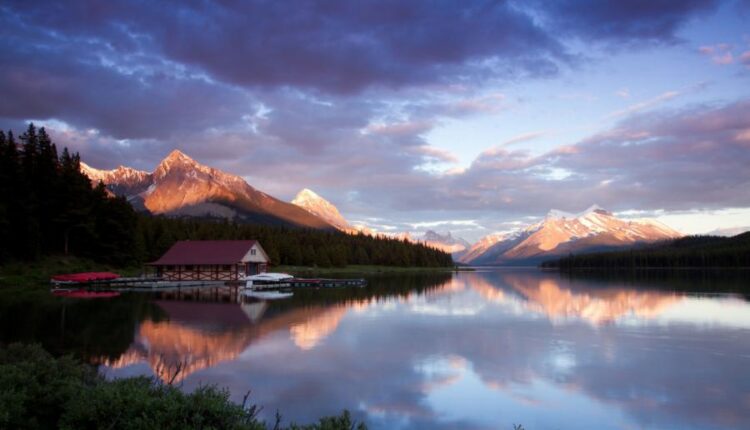 سری پنجاه و پنج تصویر زمینه های با کیفیت طبیعت   Nature